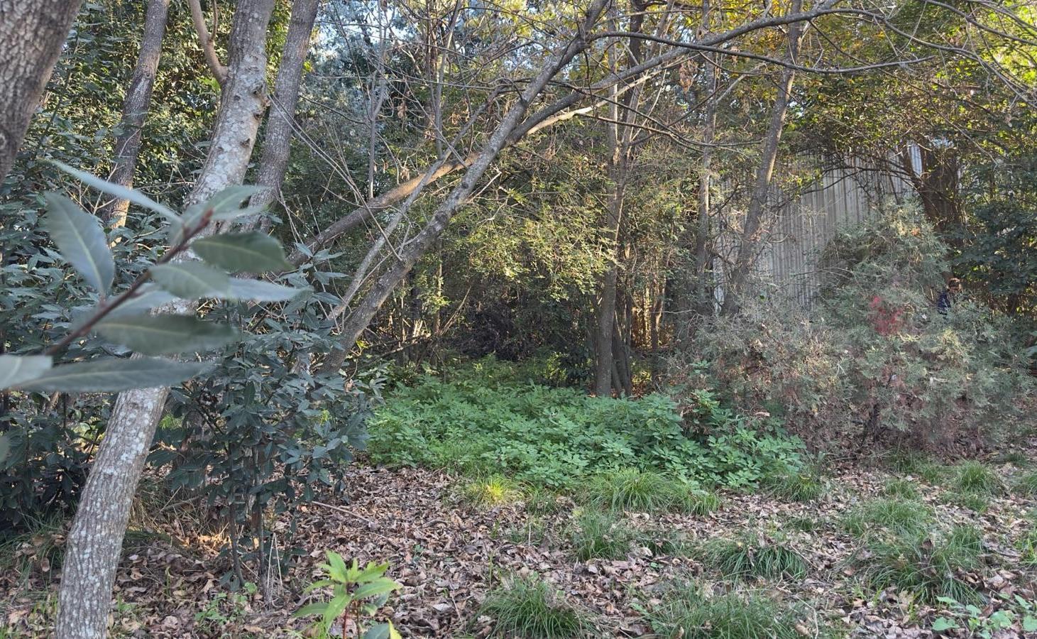 Foto de Terreno en Venta Barrio Los Tilos - Garín, imagen 1