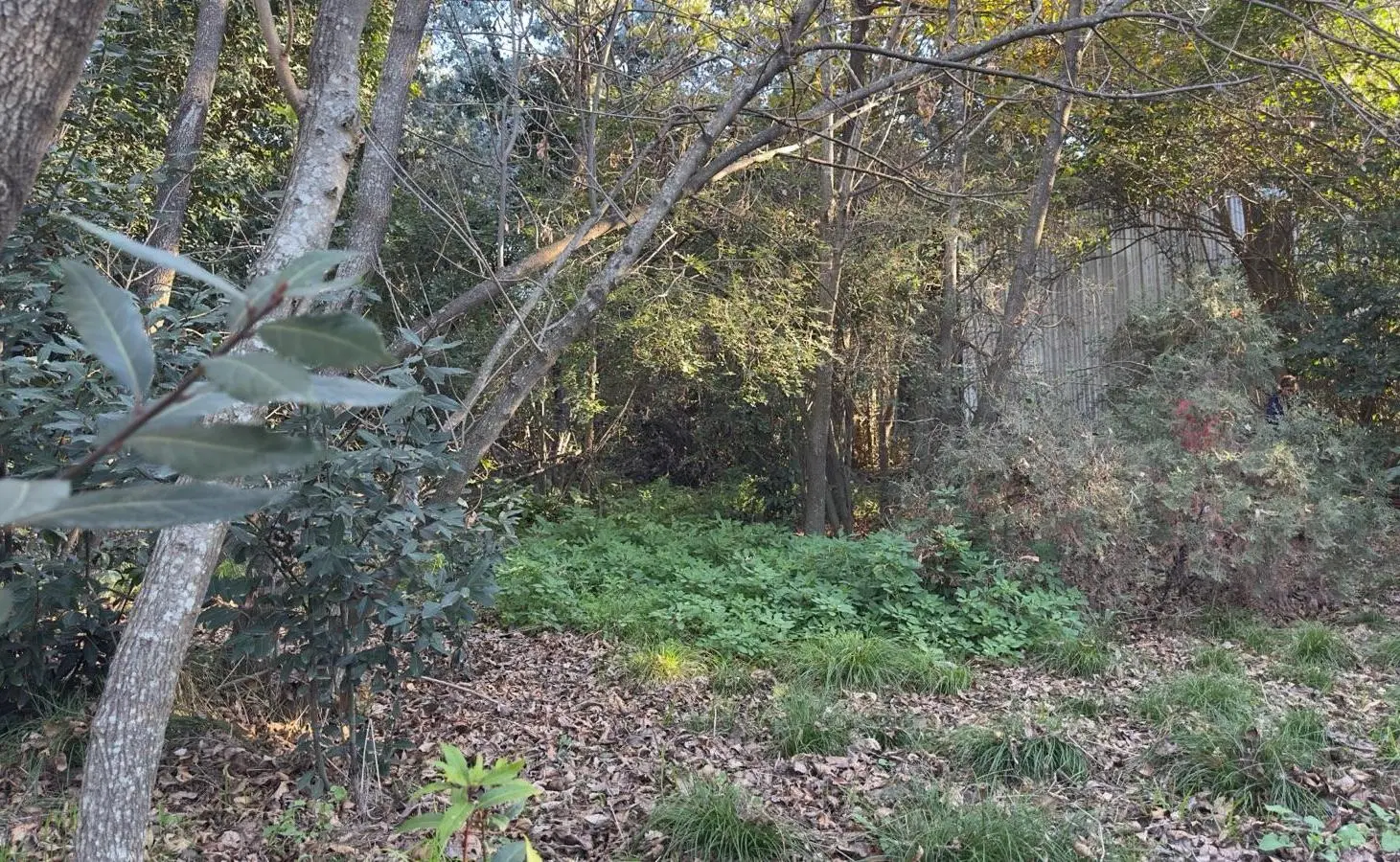 Terreno en Venta Barrio Los Tilos - Garín 1