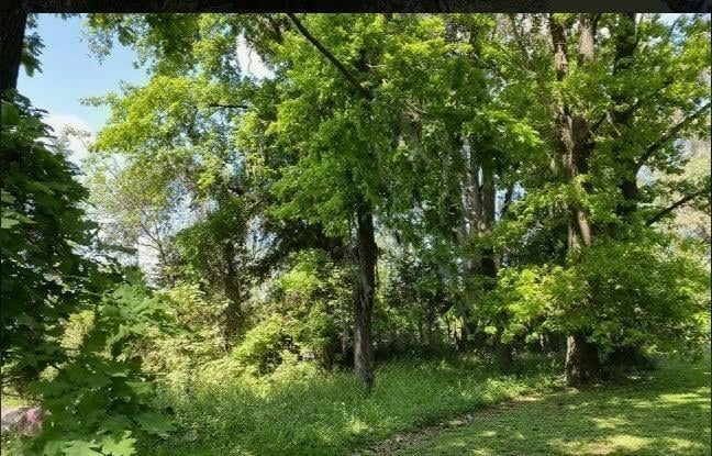 Foto de Lote Terreno en venta Barrio El Cazador 8700m2 comercial loteo, imagen 2