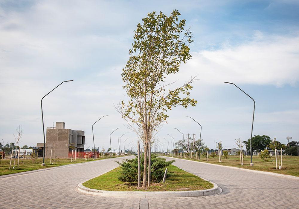 Venta Terreno 300 m² Ecotierra Pueblo Esther 4