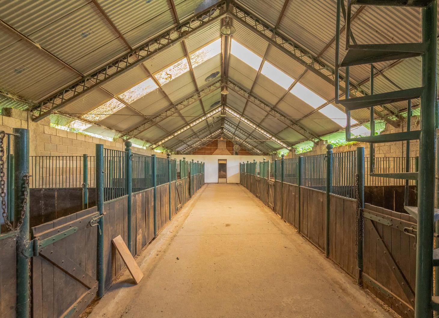Foto de VENDE CAMPO de 24 hectareas con cancha de POLO PILAR Ruta 34, imagen 2