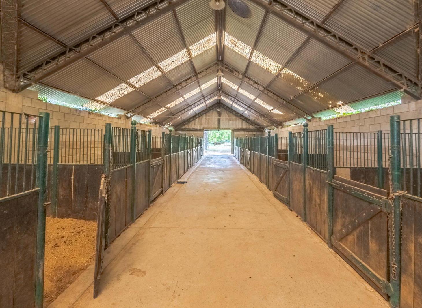 Foto de VENDE CAMPO de 24 hectareas con cancha de POLO PILAR Ruta 34, imagen 3