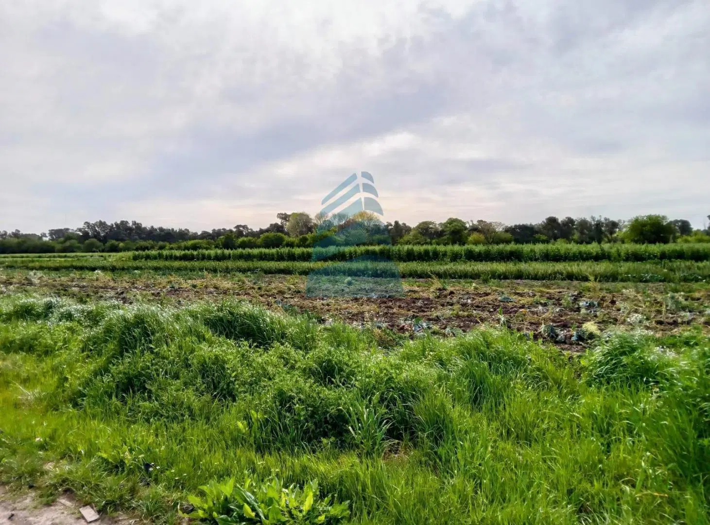 VENTA DE CAMPO en MANZONE - FRENTE al BARRIO CASA BLANCA - Pilar 3