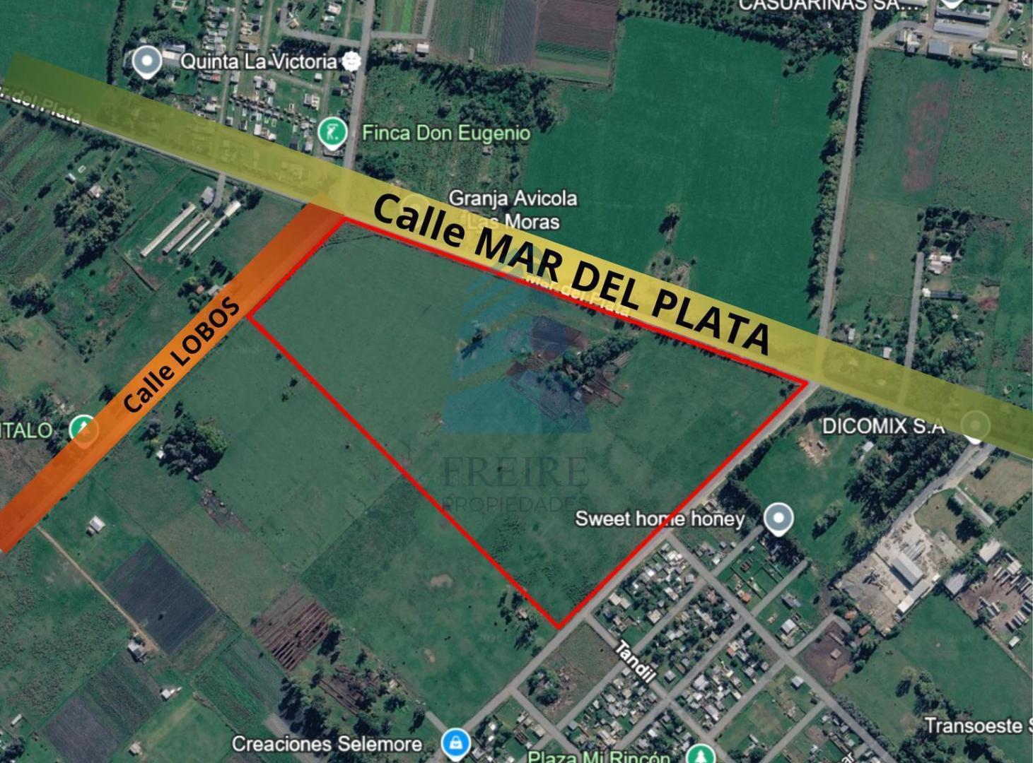 Foto de VENTA Campo 20 hectareas ideal para DESARROLLO, General Rodriguez, imagen 4