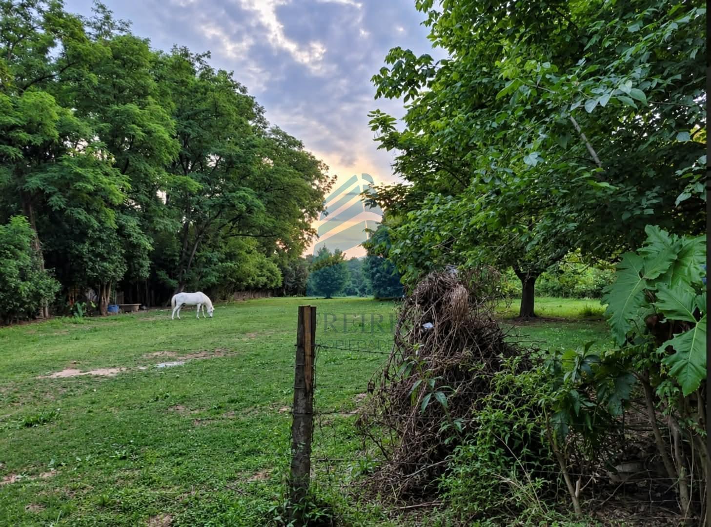 Foto de Vende Terreno en Barrio Carabassa Sor Teresa y Cabo de Hornos Pilar, imagen 1