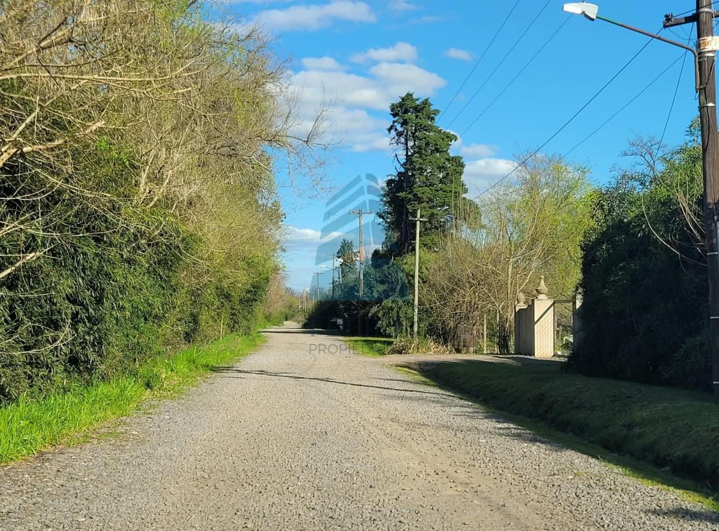 Foto de Vende Terreno en Barrio Carabassa Sor Teresa y Cabo de Hornos Pilar, imagen 3