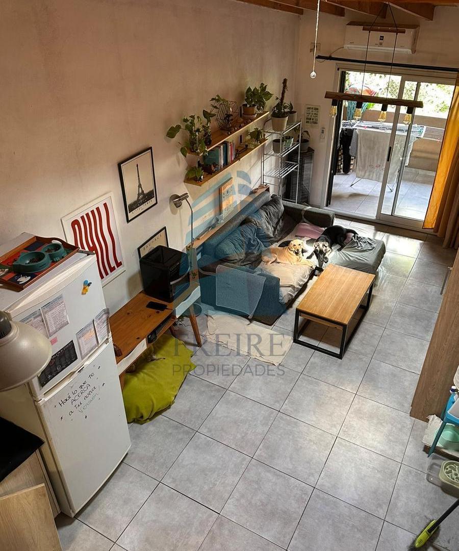 Foto de ALQUILER MONOAMBIENTE TIPO LOFT DE 38 M² - SIN EXPENSAS, EL PETREL, imagen 3