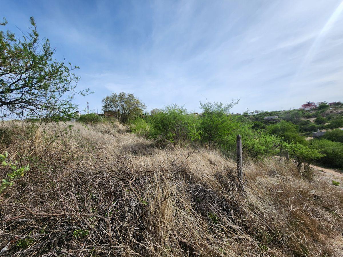 Foto de Terreno de 679 m² en venta en Estancia Vieja, imagen 1