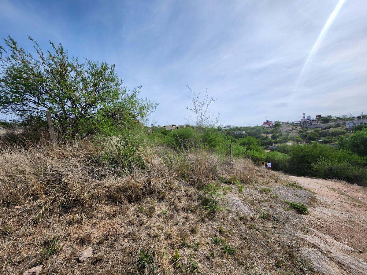 Foto de Terreno de 679 m² en venta en Estancia Vieja, imagen 2
