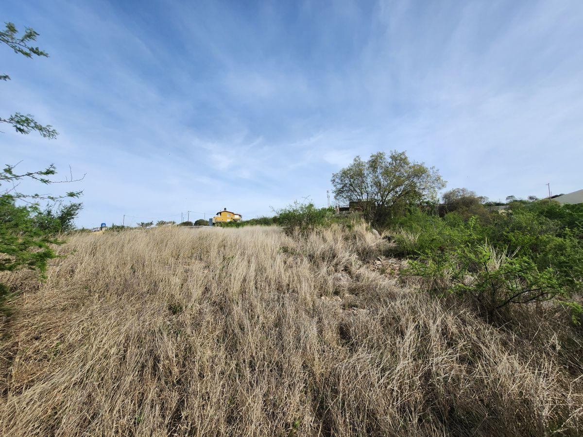 Foto de Terreno de 679 m² en venta en Estancia Vieja, imagen 3