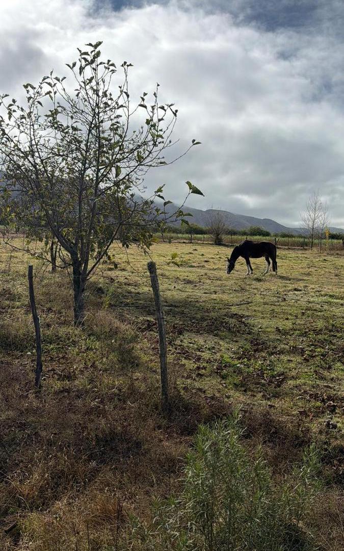 Terreno en Tafi del Valle