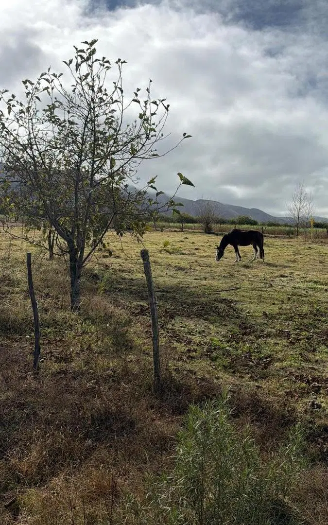 Terreno en Tafi del Valle 2