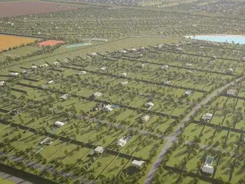 terreno Vida Lagoon 2