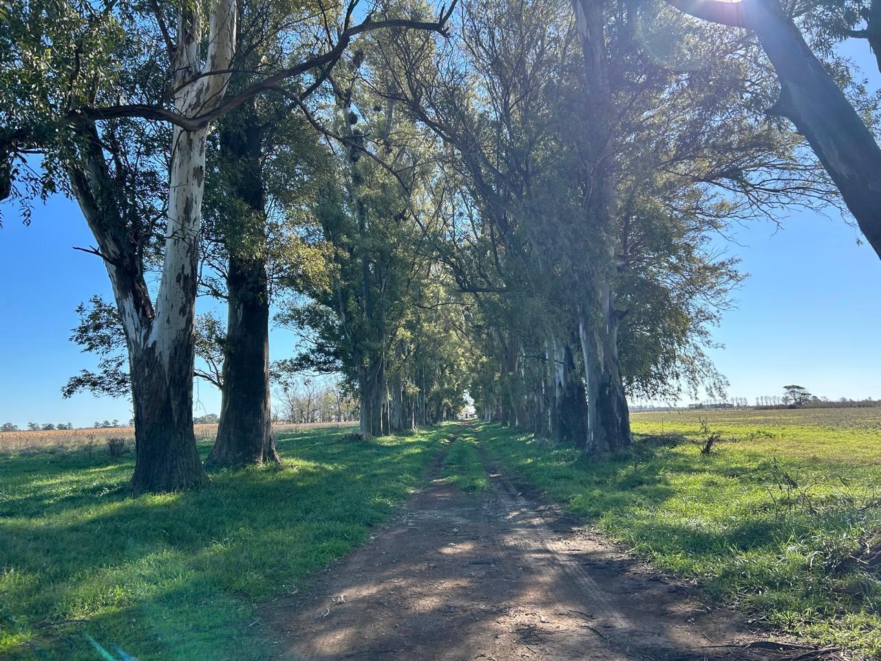 CHACRA EN VENTA EN LOBOS, BUENOS AIRES, RUTA PROVINCIAL 41