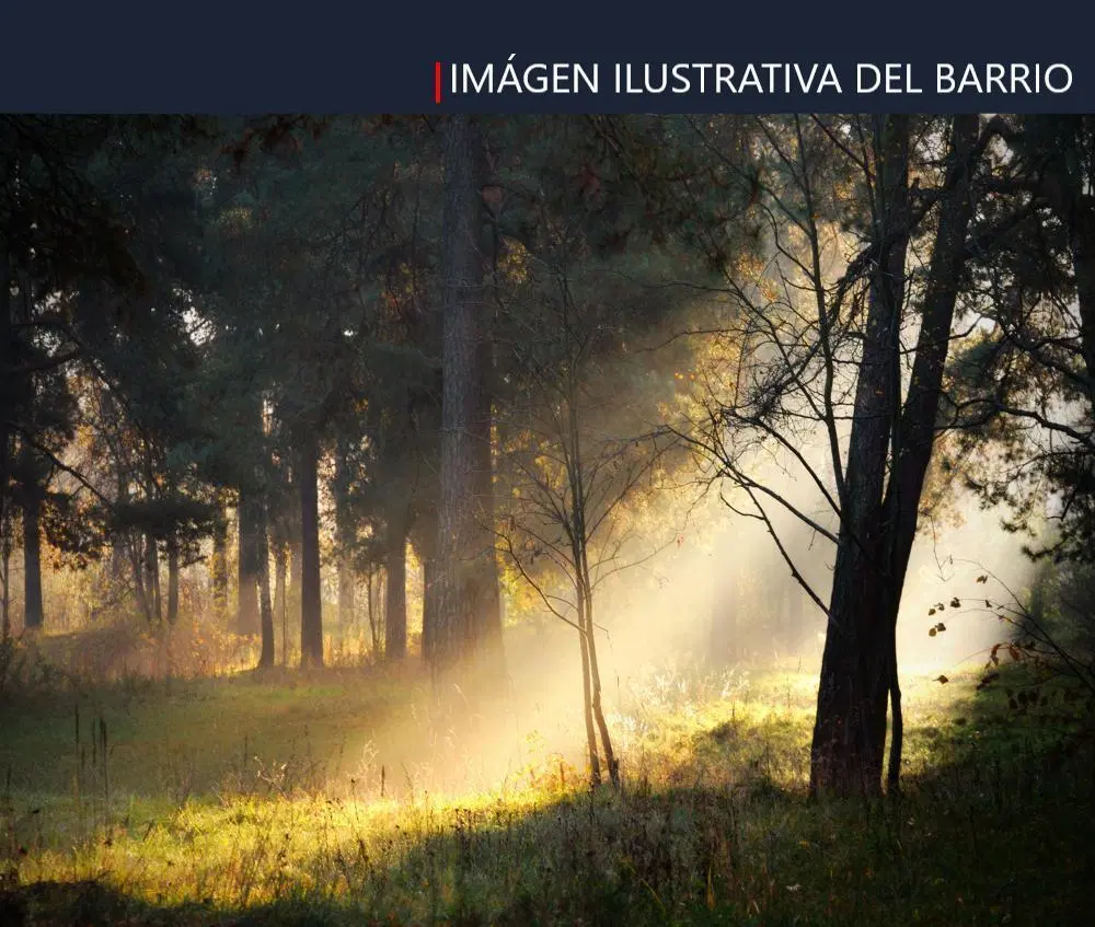 LOTE EN VENTA A LA LAGUNA  EN EL BARRIO LAGUNA GRANDE, VILLA NUEVA, TIGRE 5