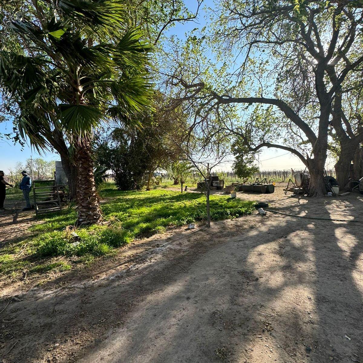 Vendemos Finca en Chapanay, San Martín 3