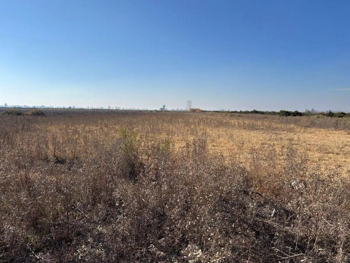 VENDEMOS FINCA EN EL BORBOLLÓN, LAS HERAS 3