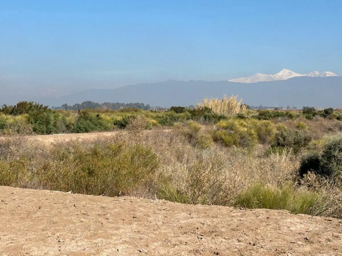 VENDEMOS FINCA EN EL BORBOLLÓN, LAS HERAS 2