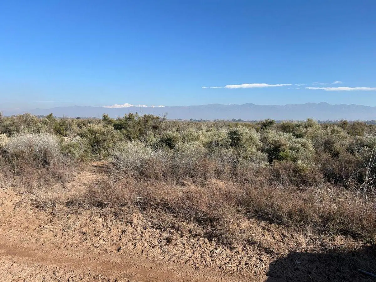 VENDEMOS FINCA EN EL BORBOLLÓN, LAS HERAS 5