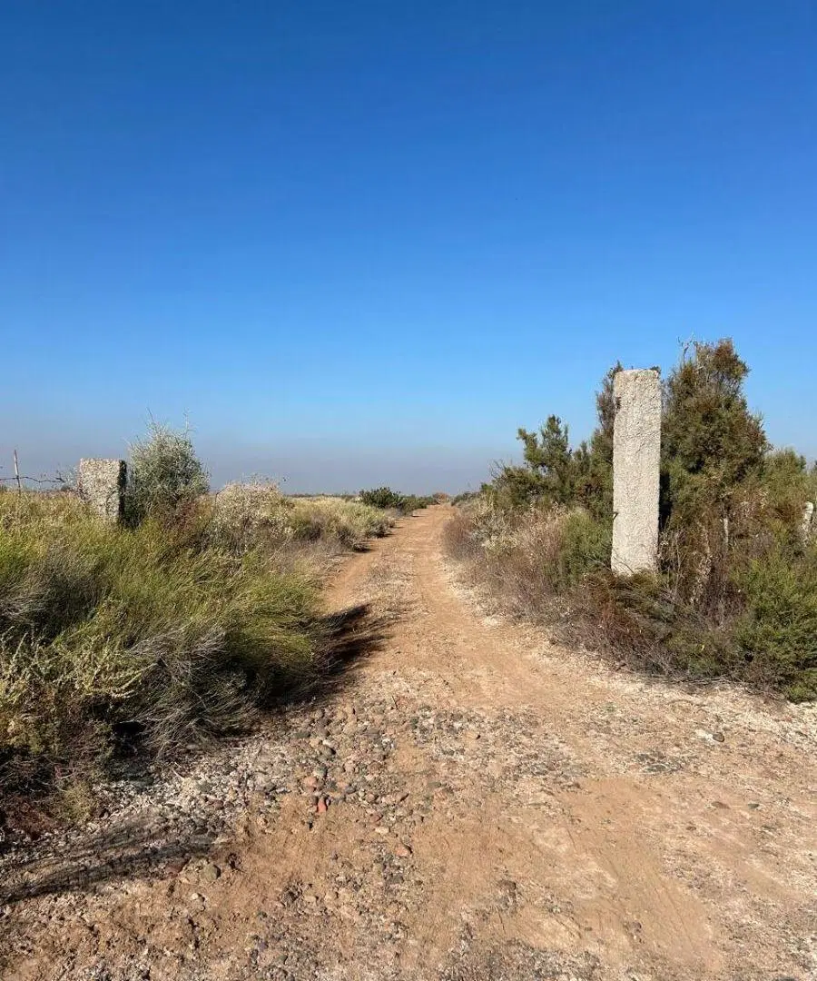 VENDEMOS FINCA EN EL BORBOLLÓN, LAS HERAS 4