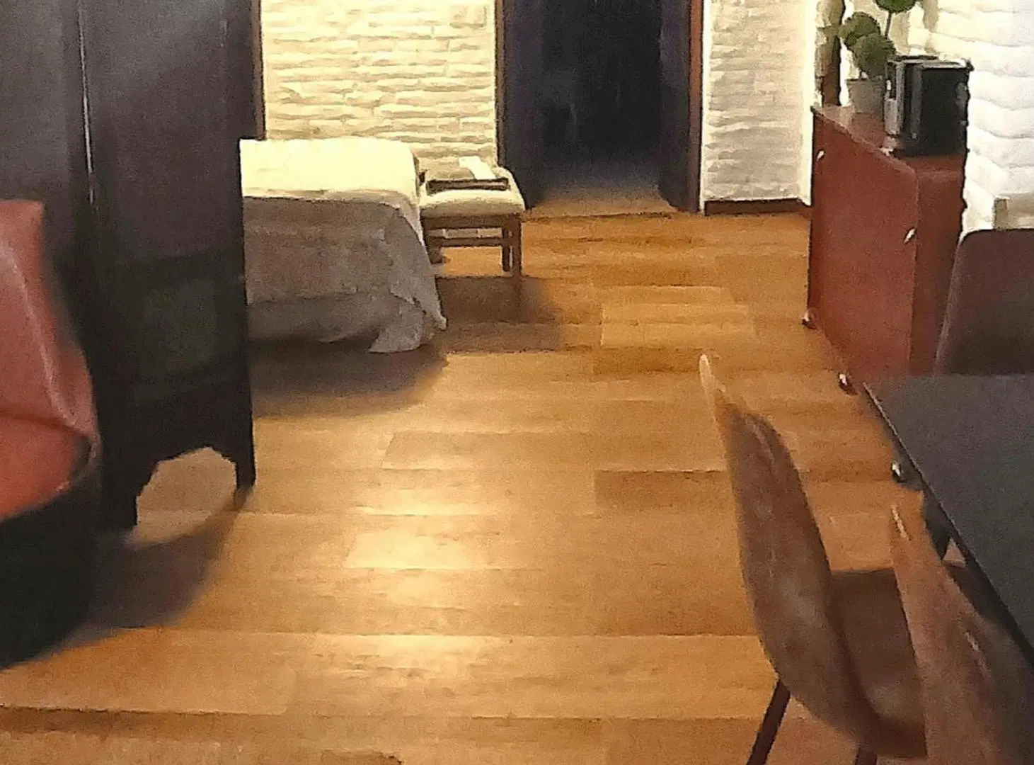 Apartamento Monoambiente Amoblado PB Cordón 4