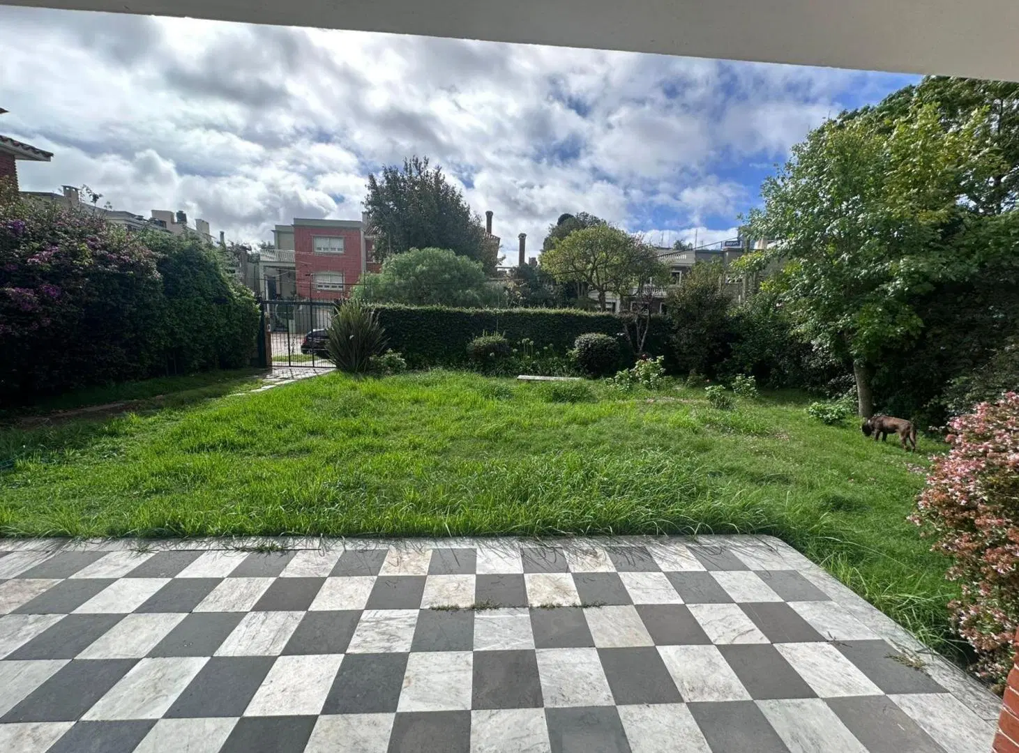 VENTA! CASA/TERRENO EN EL CORAZÓN DE POCITOS 4