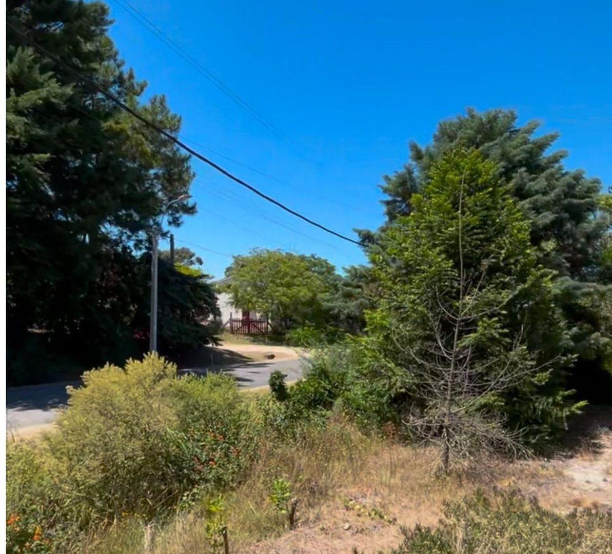 VENTA TERRENO GUAZUVIRA NUEVO