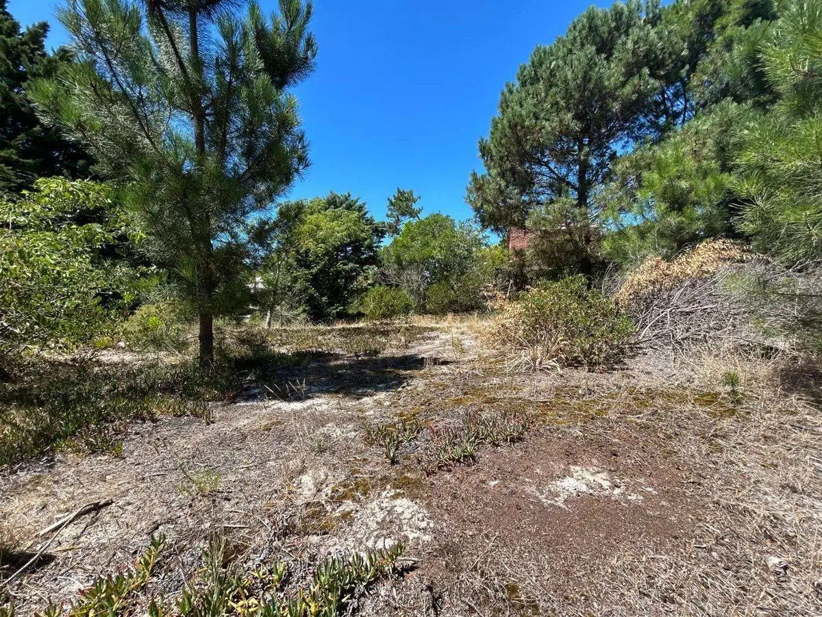 VENTA TERRENO GUAZUVIRA NUEVO 5