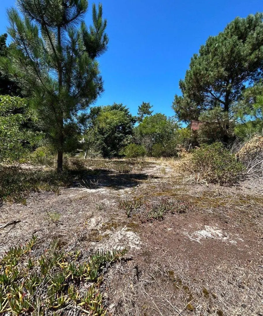 VENTA TERRENO GUAZUVIRA NUEVO 2