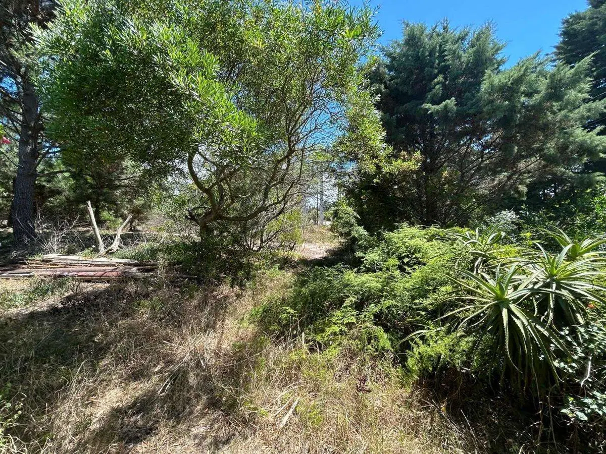 VENTA TERRENO GUAZUVIRA NUEVO 1