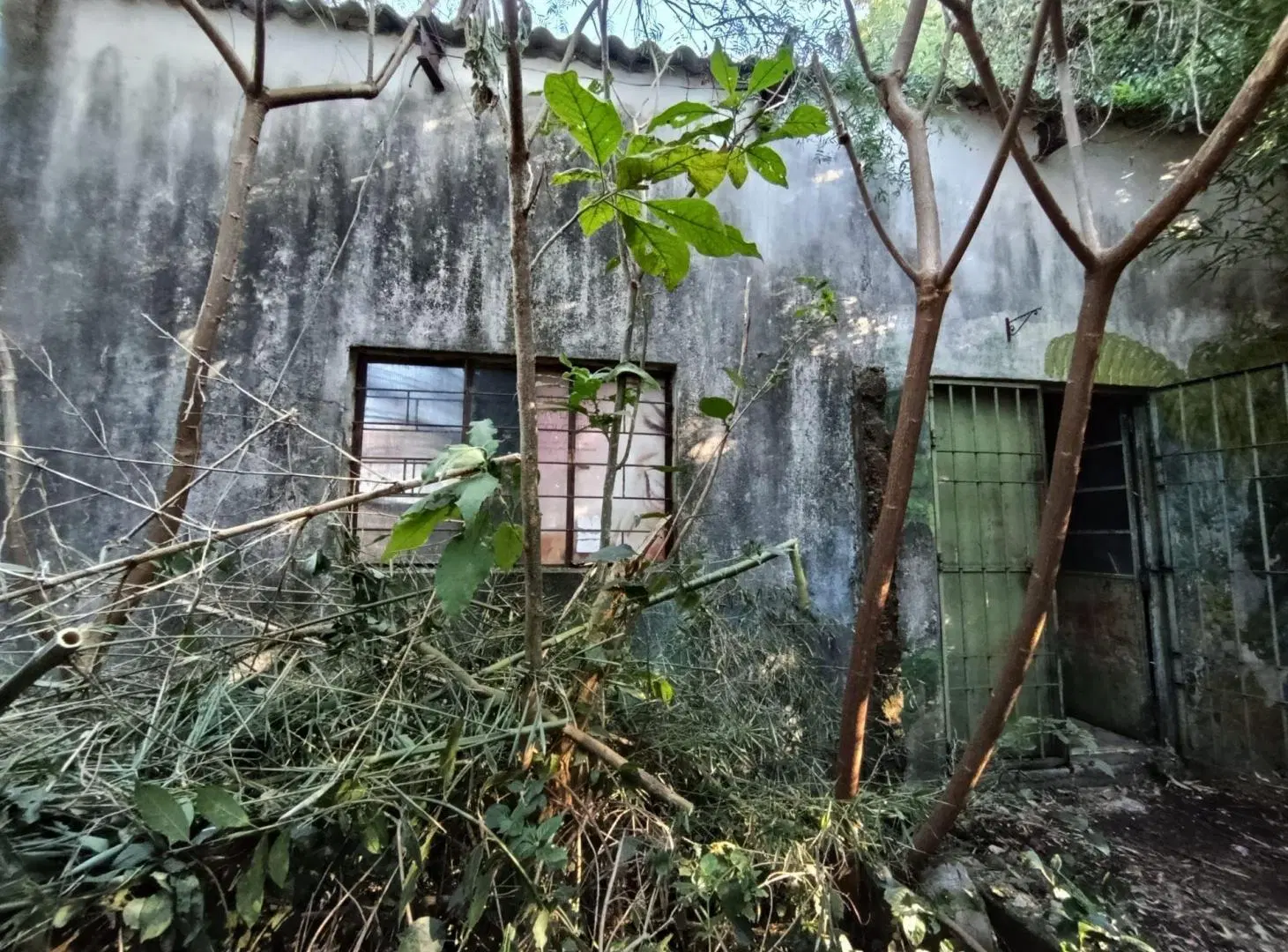VENTA DOS CASAS EN MISMO PADRON,GG,FONDO,P.BLANCAS 4