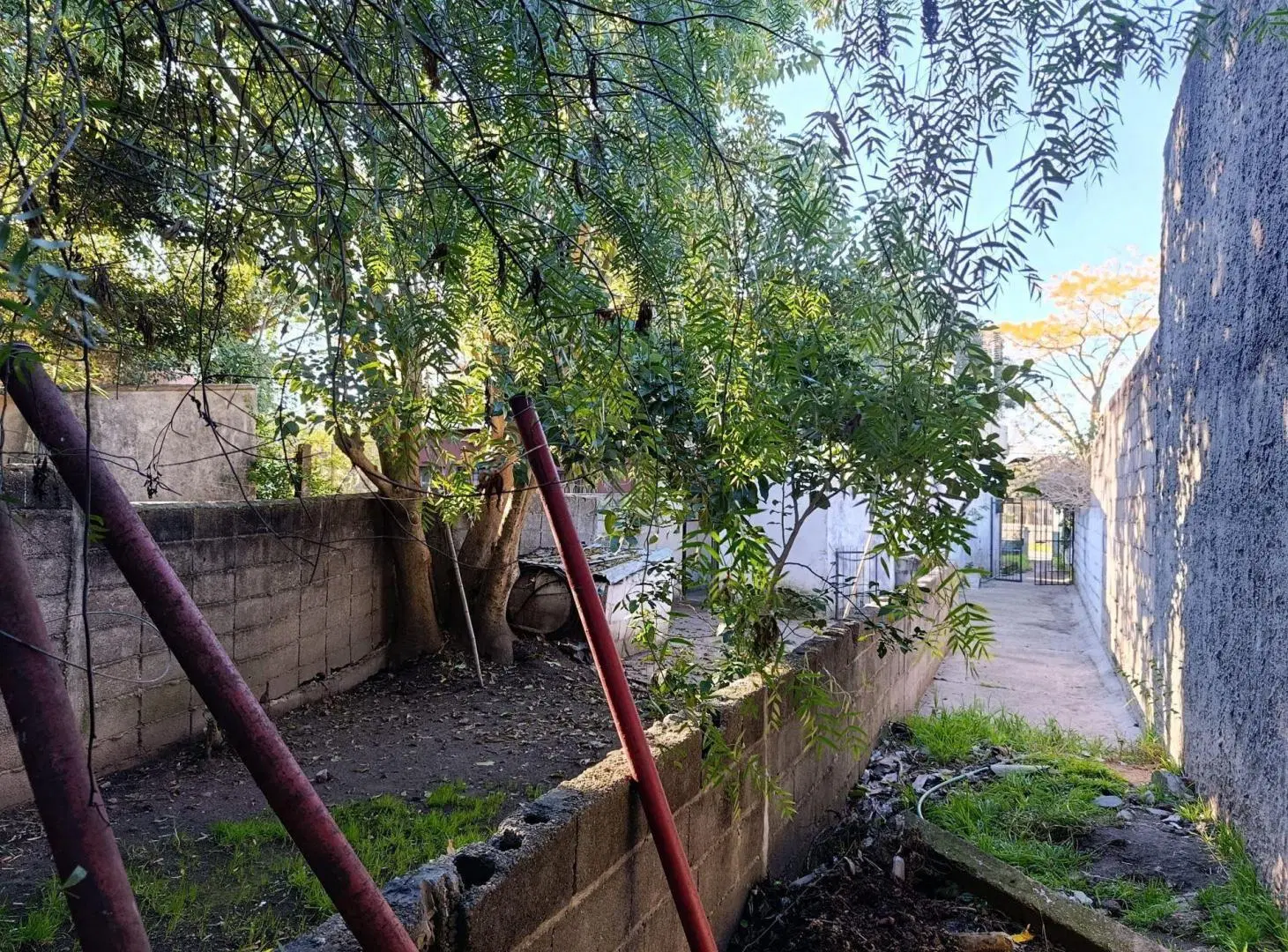 VENTA DOS CASAS EN MISMO PADRON,GG,FONDO,P.BLANCAS 8