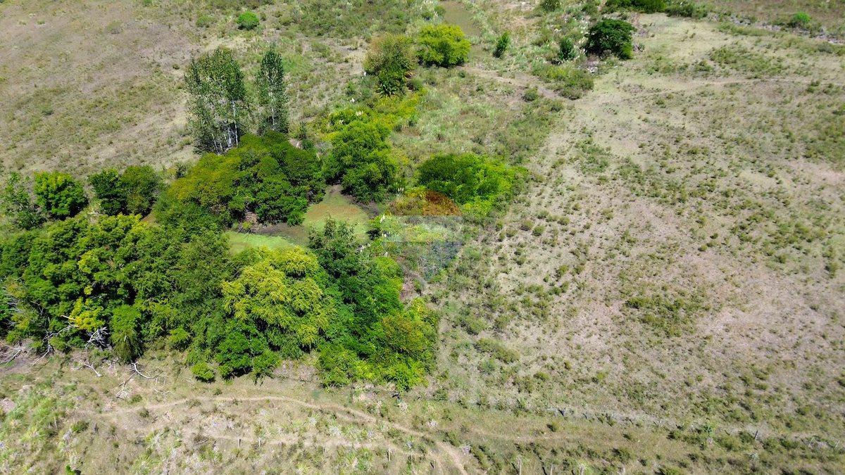 Foto de Venta campo 3 hectareas en Canelon Chico, imagen 2