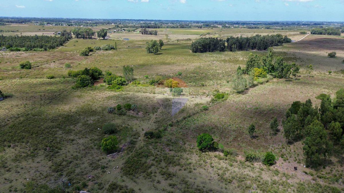 Foto de Venta campo 3 hectareas en Canelon Chico, imagen 3