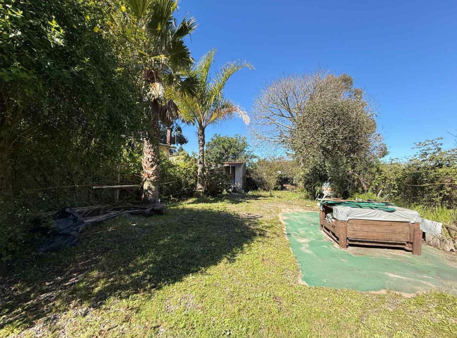 Foto de VENTA 2 casas Bello Horizonte, imagen 5