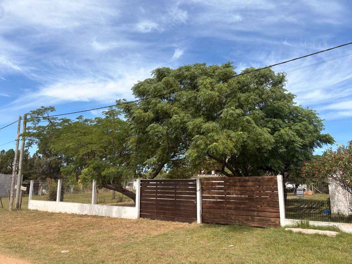 Foto de VENTA DE TERRENO DE 348m2 EN SAN LUIS (NORTE), imagen 2