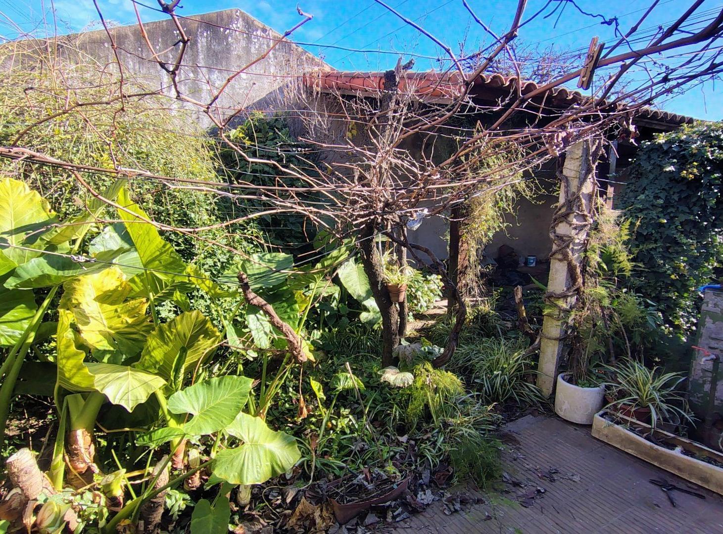 Foto de CHALET A RECICLAR CASTELAR NORTE, imagen 5