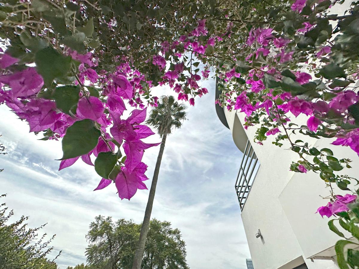 Casa Racionalista - Vicente López 2