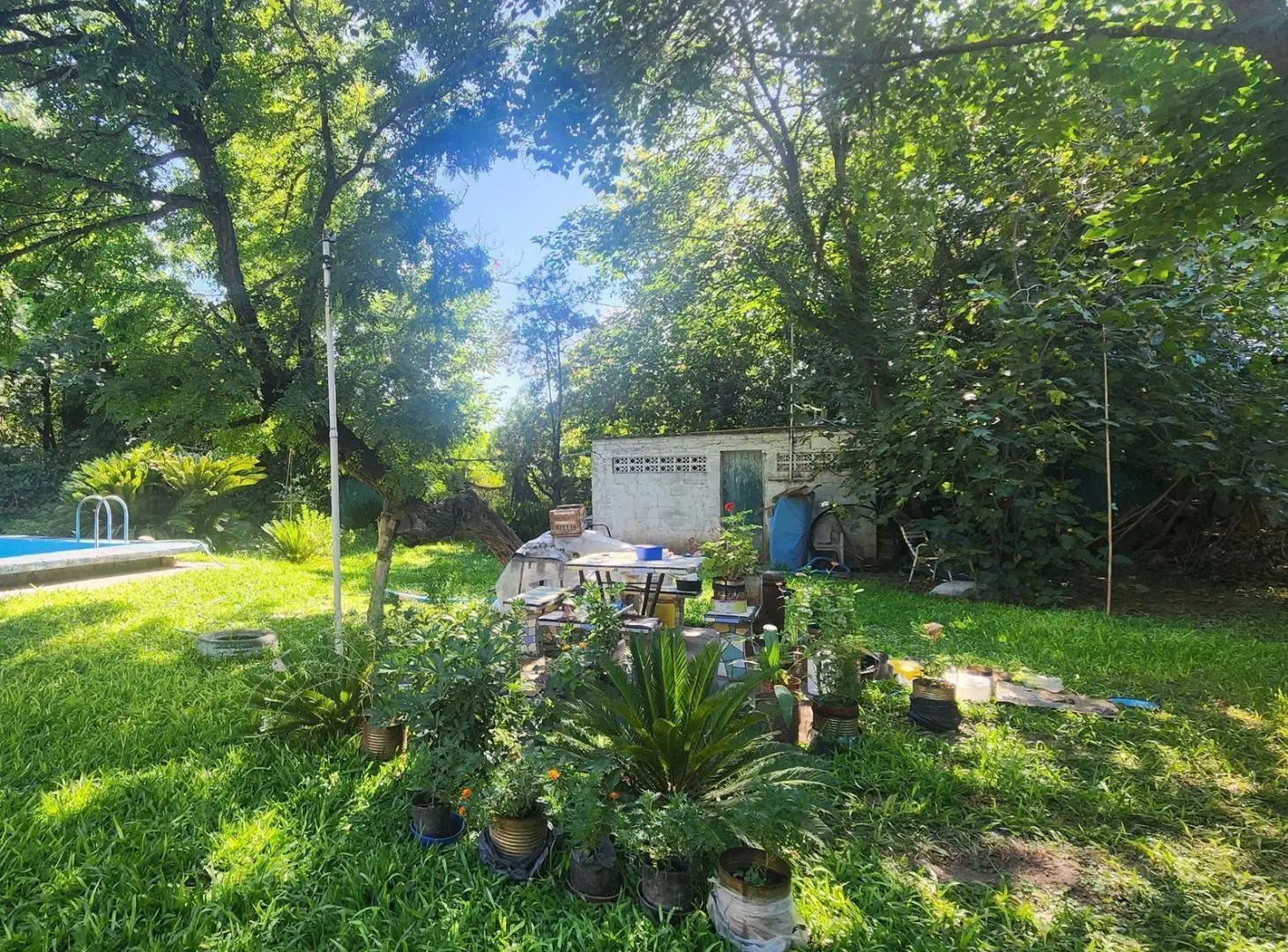 Casa con gran terreno y pileta a media cuadra de Gobernador Oroño – Riobamba 500, Pueblo Esther 5