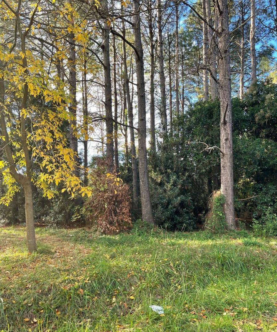 Lote venta Parque las Naciones Guernica