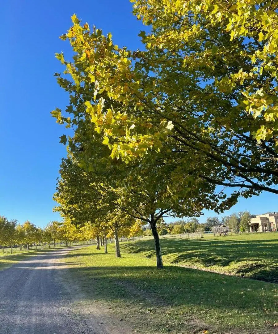 Lote en venta en Estancia Villa Maria 5