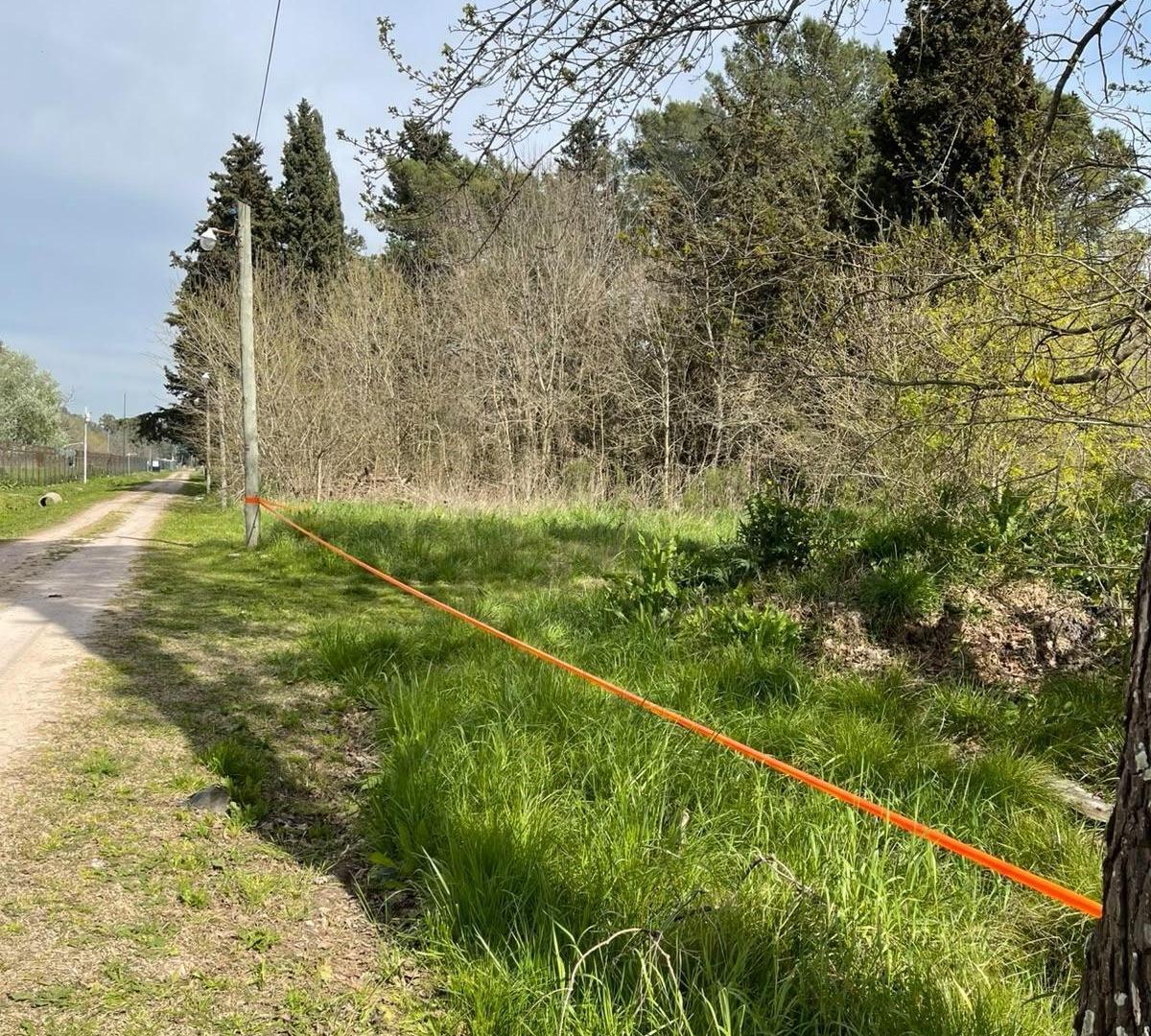 Foto de Lote en venta Parque las Naciones Guernica, imagen 1