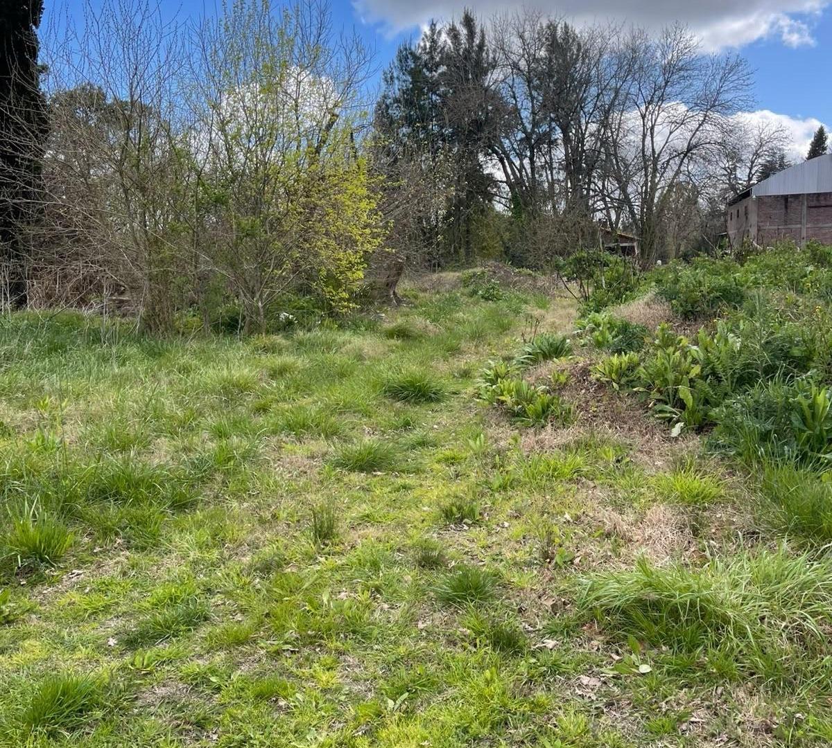 Foto de Lote en venta Parque las Naciones Guernica, imagen 4