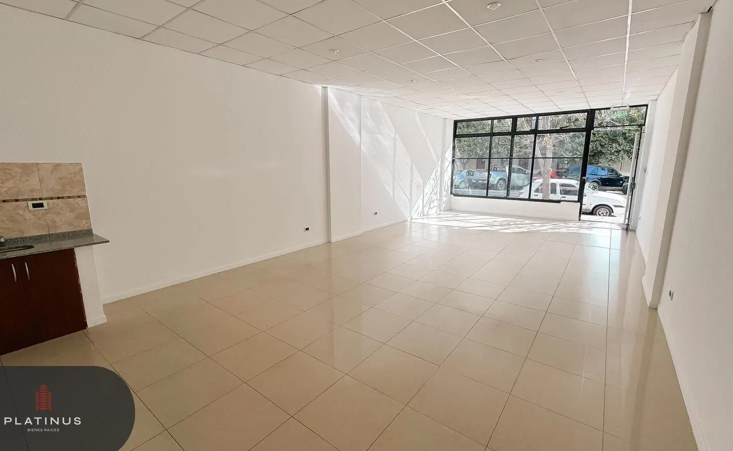 Local Comercial en Alquiler de 200 m2 - Cofico 3