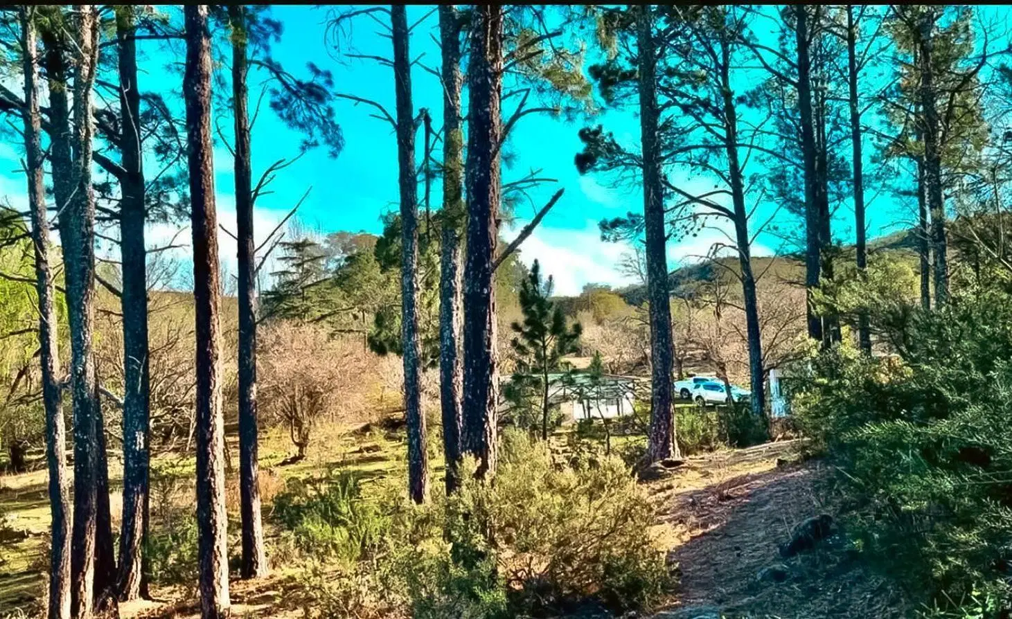 Lotes en Venta de 2 a 6 Hectareas - San José de los Rios, Punilla 4