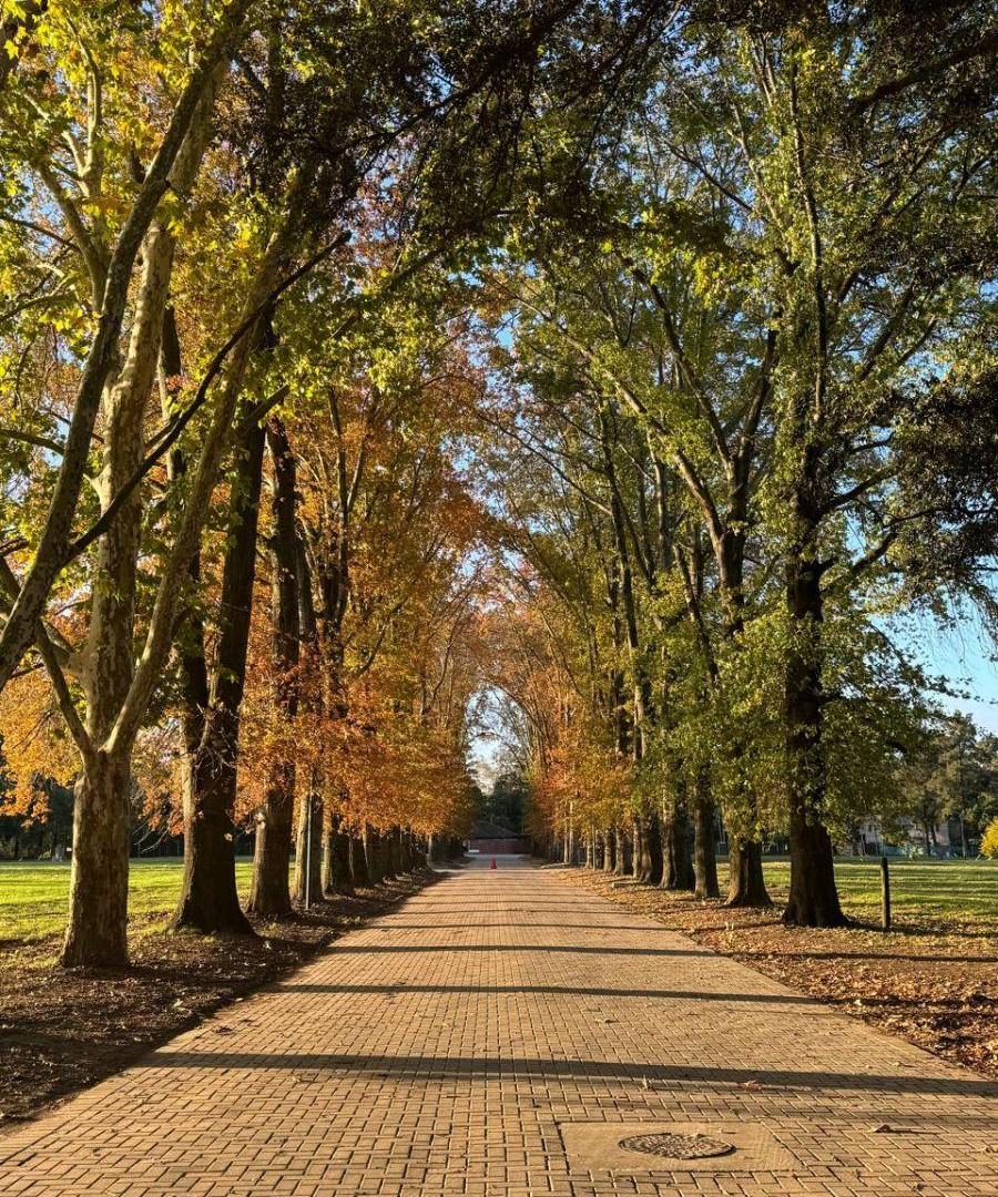 MUY LINDO LOTE EN EL SECTOR BOSQUE EN EL BARRIO PRIVADO ALMAHUE,PILAR.