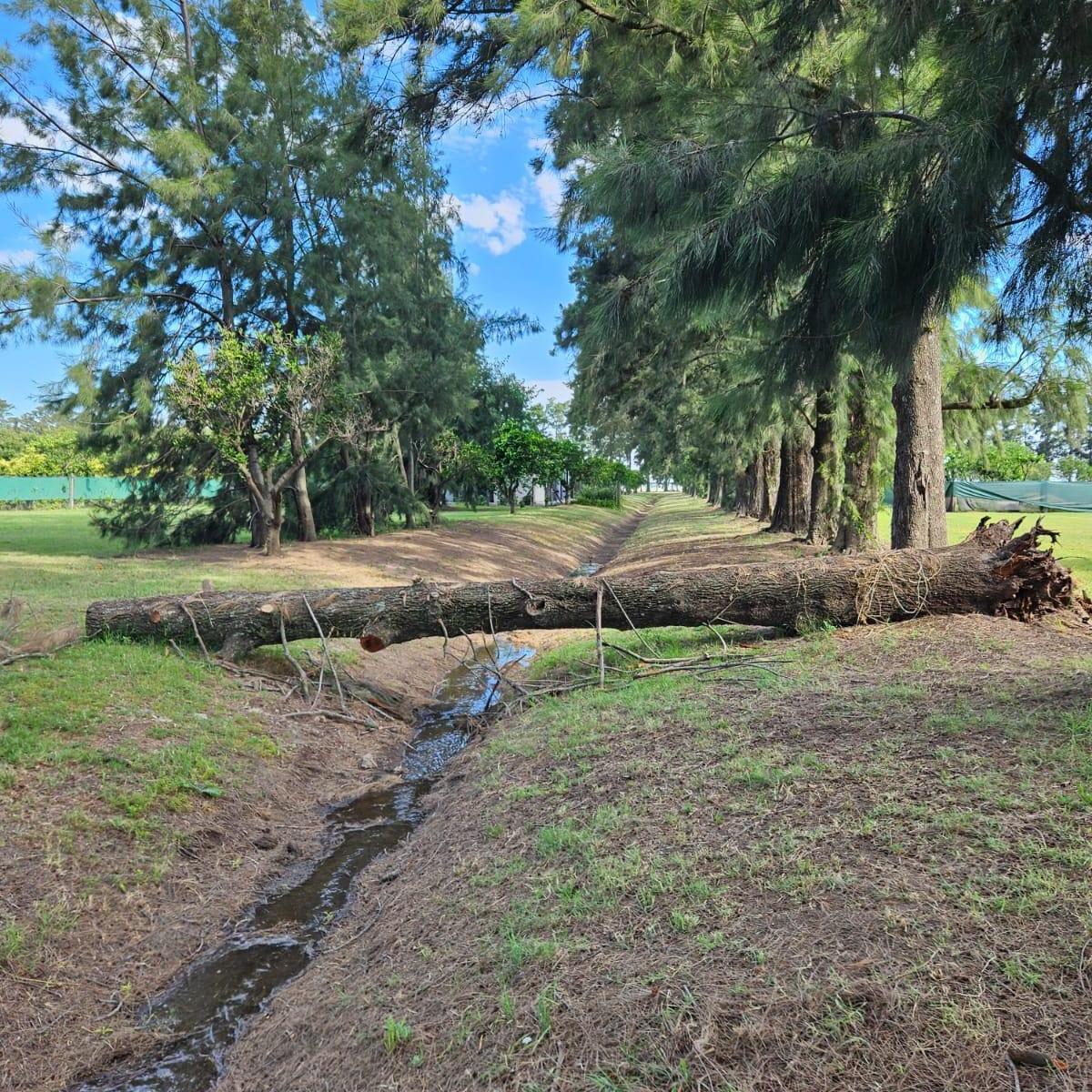 Venta/ Permuta. Imperdible Lote Barrio Privado Azahares del Paraná, Escriturado. 3