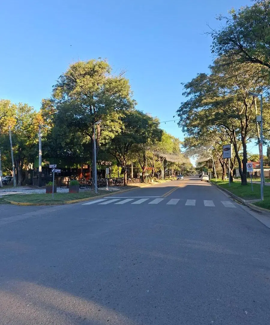 Terreno en Centro 3