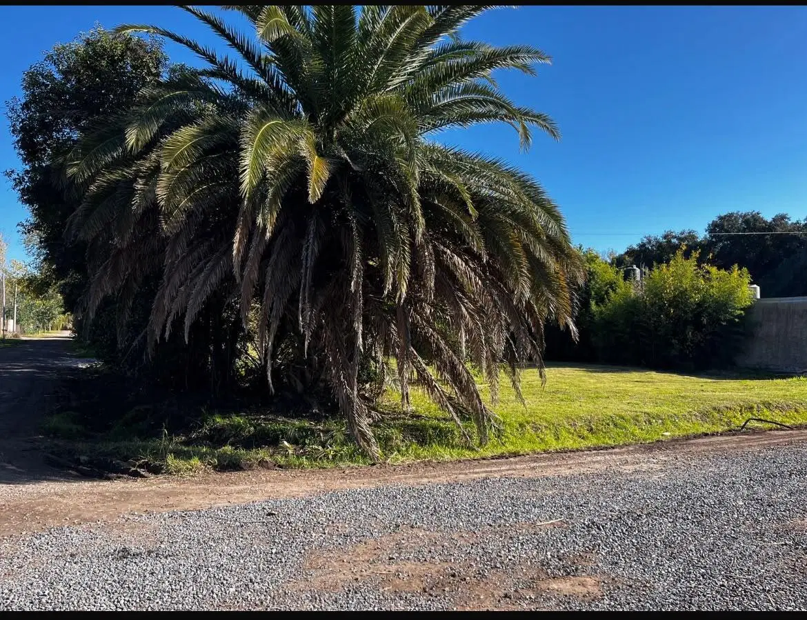 Terreno en Funes 2