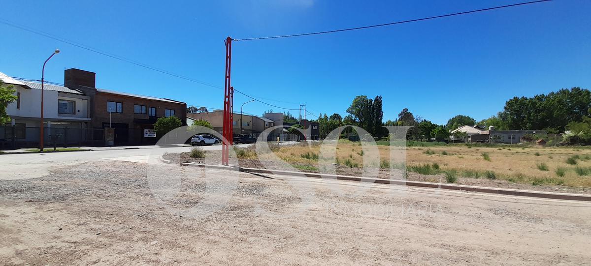 Terreno Barrio Rincón Lindo - Cipolletti 3